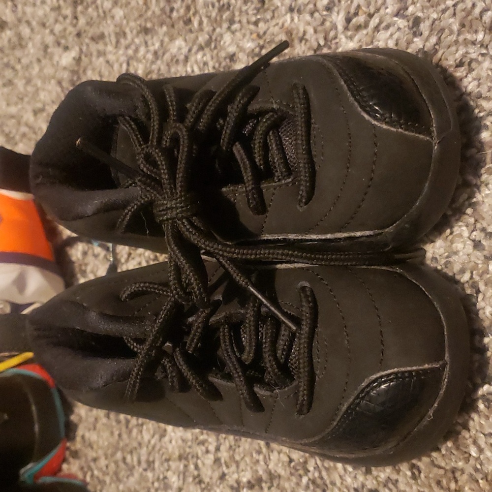 7c Air Jordan 12's